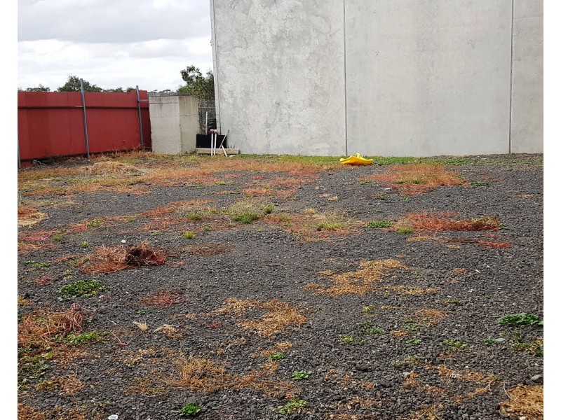 16 Rushwood Drive, Craigieburn VIC 3064