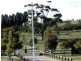 21 Gravlier Way, South Morang VIC 3752