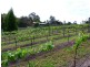 35 Munts Road, Upper Plenty VIC 3756