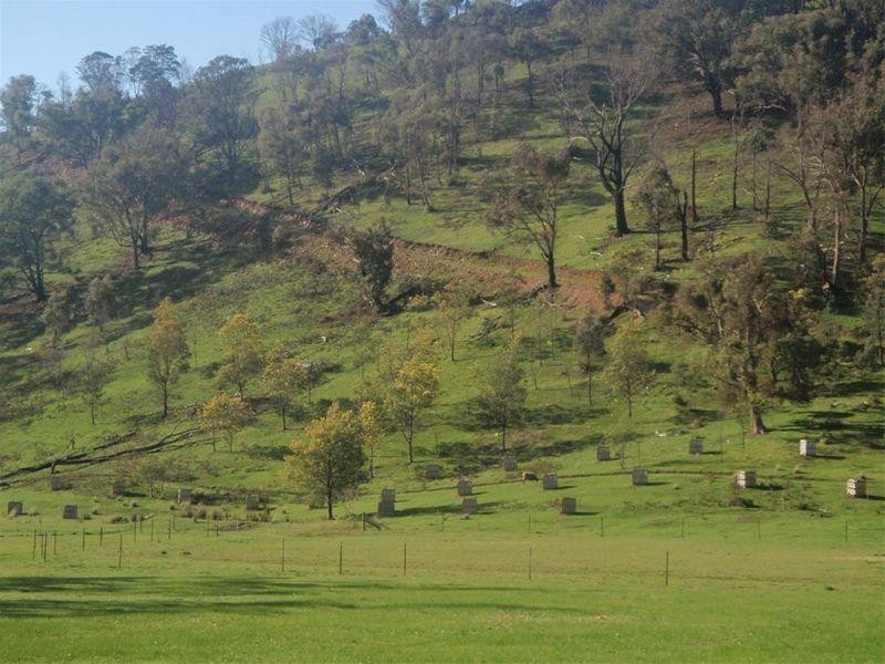 179 Collins Road, Flowerdale VIC 3717