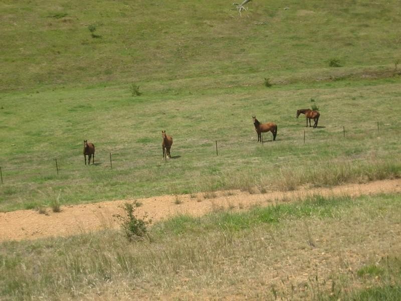 865 Strathcreek Road, Tyaak VIC 3658