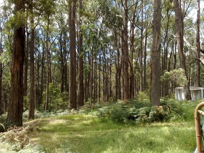 185 Coombs Road, Humevale VIC 3757