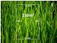 Lot 301 Kingscote Way, Epping VIC 3076