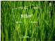 Lot 301 Silver Tree Way, Wollert VIC 3750