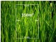 Lot 417 Nundroo Crescent, Epping VIC 3076