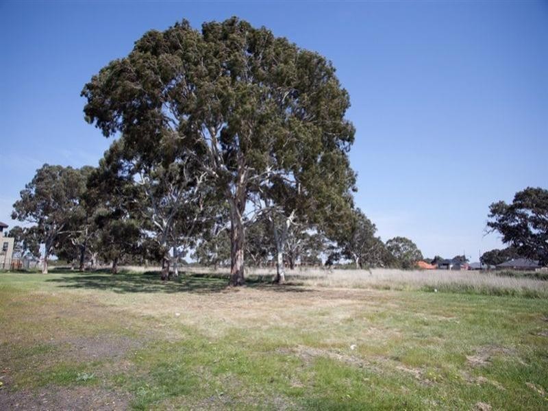 24 Coleraine Drive, Epping VIC 3076