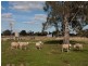 120 Bodycoats Road, Wollert VIC 3750