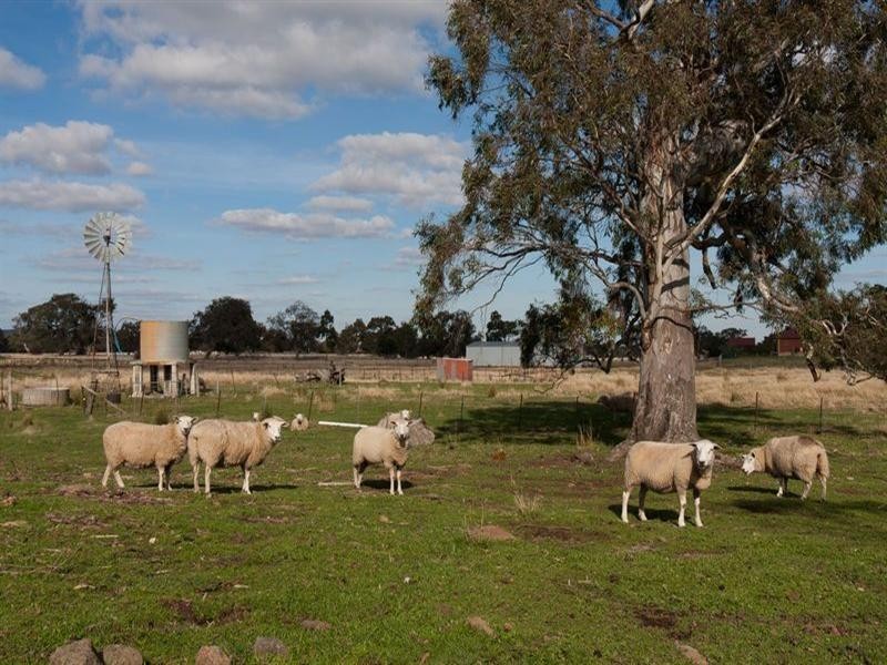 120 Bodycoats Road, Wollert VIC 3750