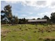 120 Bodycoats Road, Wollert VIC 3750