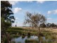120 Bodycoats Road, Wollert VIC 3750