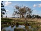 120 Bodycoats Road, Wollert VIC 3750