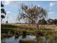 120 Bodycoats Road, Wollert VIC 3750