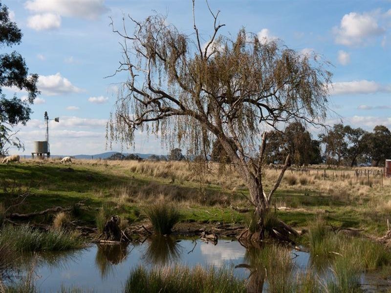 120 Bodycoats Road, Wollert VIC 3750