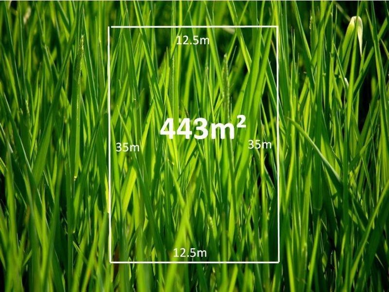 10 Dixon Creek Drive, South Morang VIC 3752