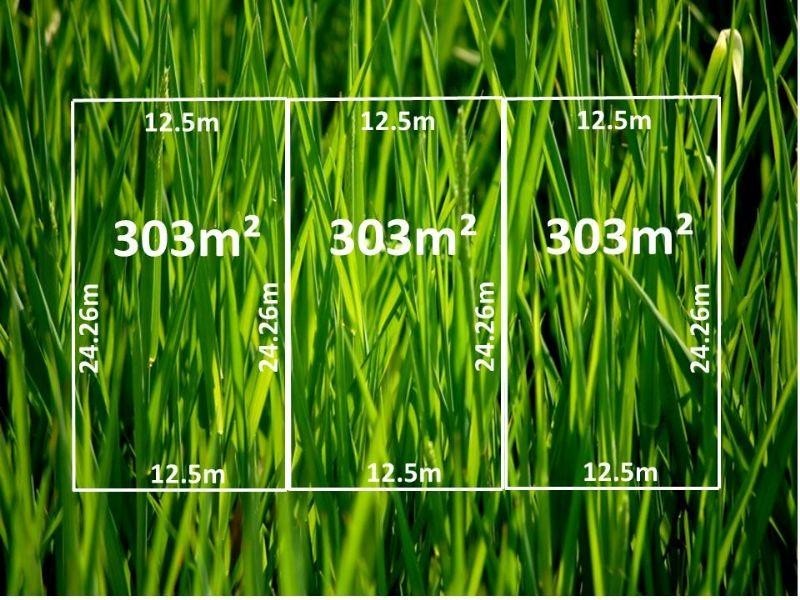 22 Ambrosia Close, Epping VIC 3076