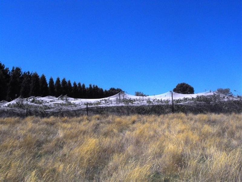 391 Sixth Avenue, Eden Park VIC 3757