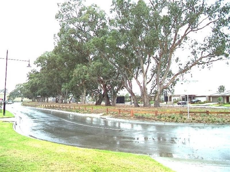 3 Verve Avenue, Doreen VIC 3754