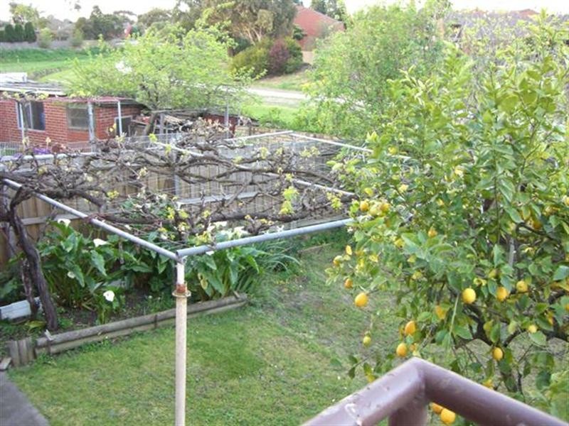 64 Lincoln Drive, Thomastown VIC 3074