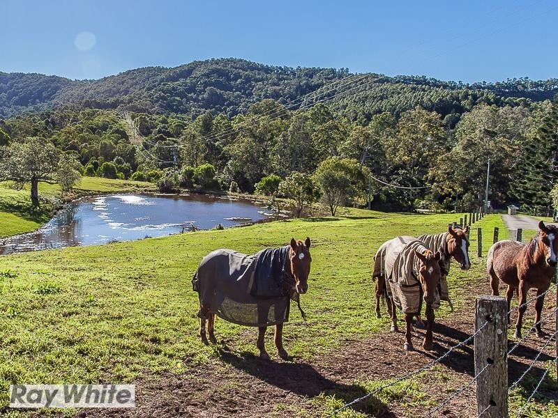 Basin Road, Wamuran Basin QLD 4512