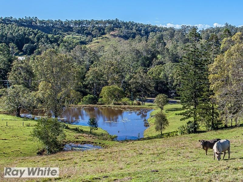 Basin Road, Wamuran Basin QLD 4512