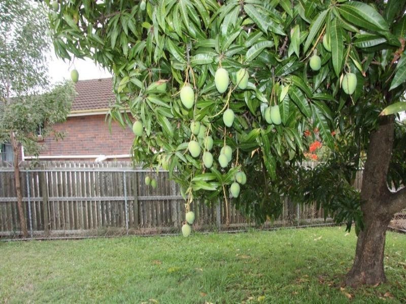 11 Heilbromm Street, Stafford Heights QLD 4053