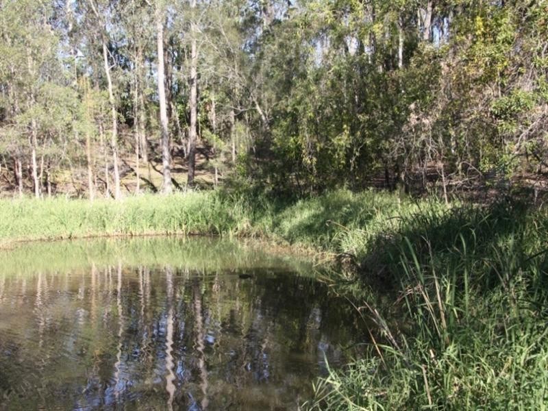 42 Bunya Road, Everton Hills QLD 4053