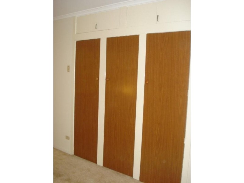 17 Burbank Street, Stafford Heights QLD 4053