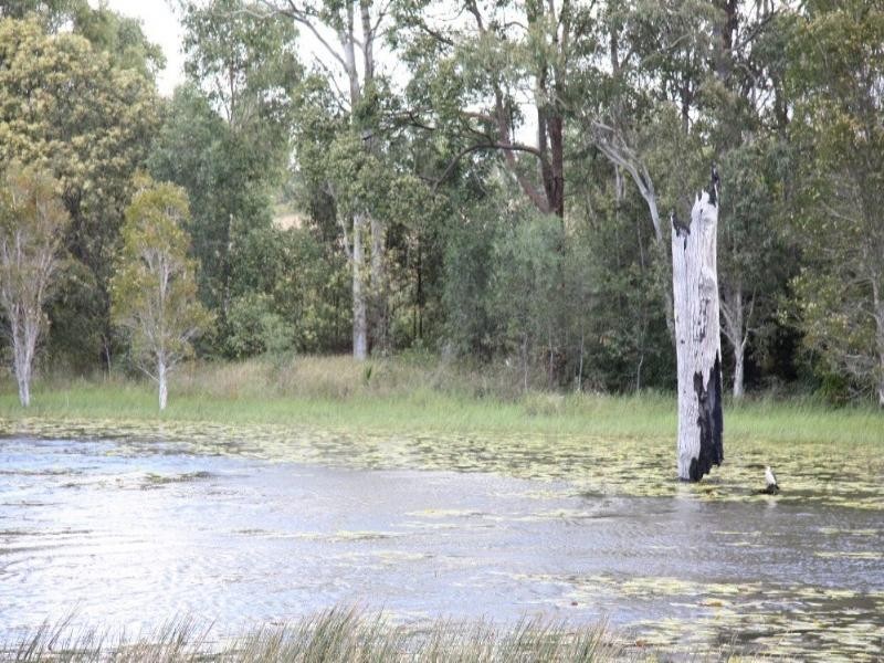 10 Amber Close, Mango Hill QLD 4509