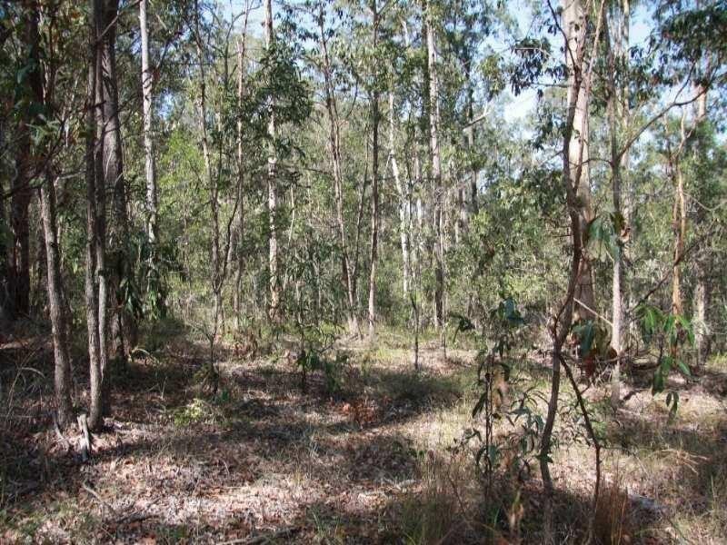 14 Pinecone Court, Bunya QLD 4055