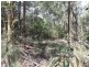 14 Pinecone Court, Bunya QLD 4055