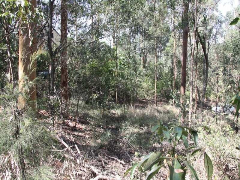 14 Pinecone Court, Bunya QLD 4055