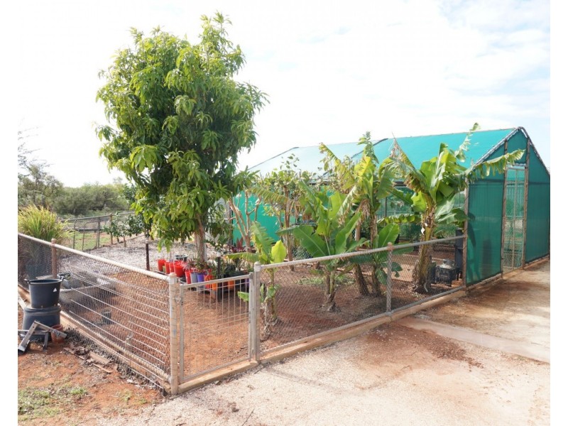 58 Preston Street, Exmouth WA 6707