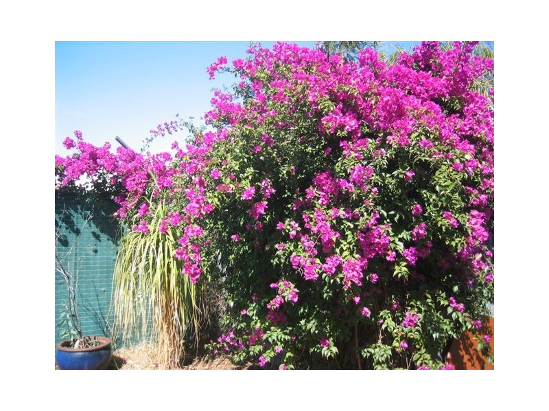 3 King Place, Exmouth WA 6707