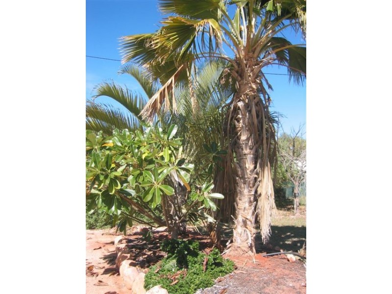 3 King Place, Exmouth WA 6707