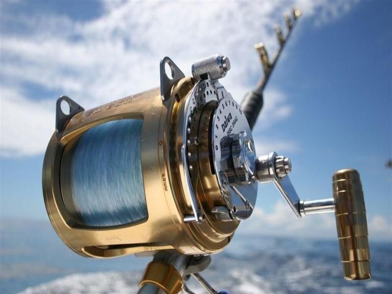 10 Kestrel Place, Exmouth WA 6707