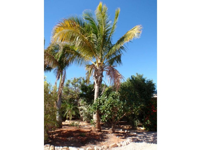 27 Salmon Loop, Exmouth WA 6707