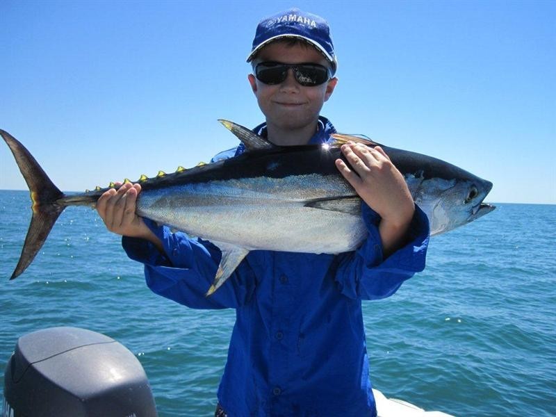 Lot 333 KESTREL Place, Exmouth WA 6707