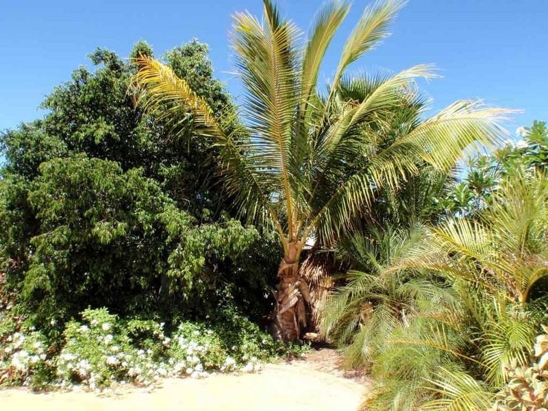 17 Patterson Way, Exmouth WA 6707