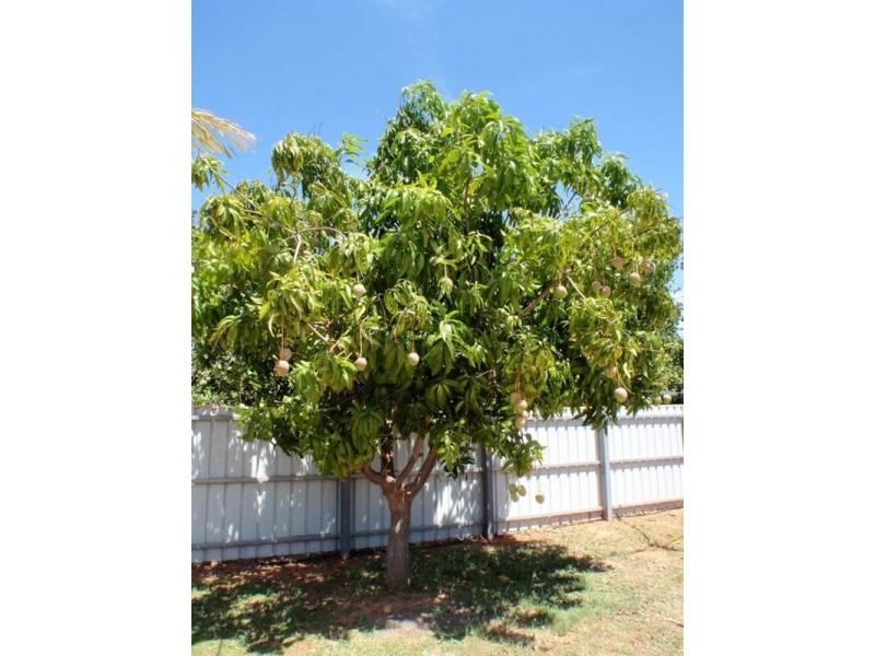 11 Carpenter Street, Exmouth WA 6707