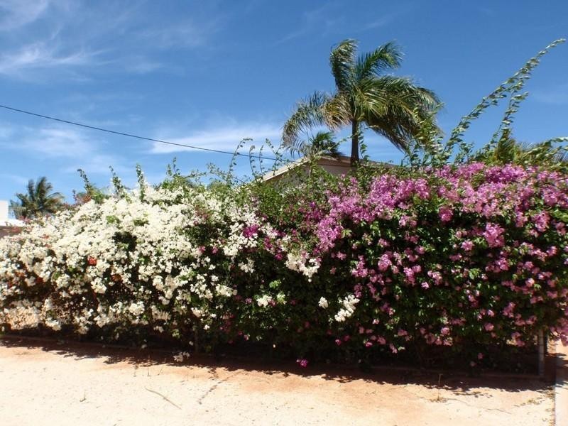 11 Carpenter Street, Exmouth WA 6707