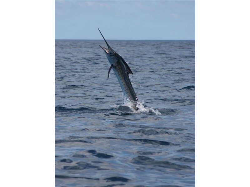 Lot 322 Cape Wilderness Estate, Exmouth WA 6707