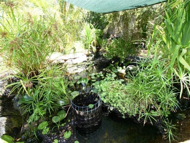 3 Gooley Street, Exmouth WA 6707