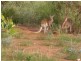 Lot 321 Cape Wilderness, Exmouth WA 6707