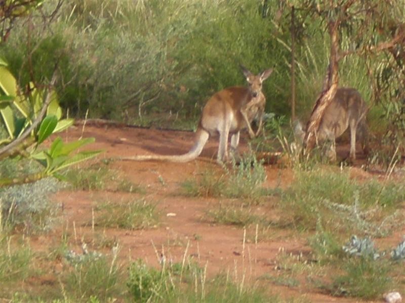 Lot 321 Cape Wilderness, Exmouth WA 6707