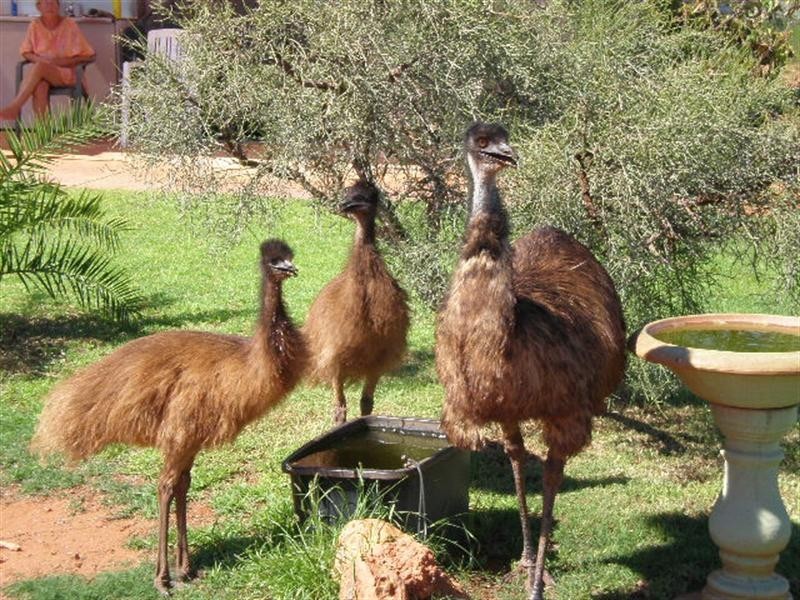 Lot 321 Cape Wilderness, Exmouth WA 6707