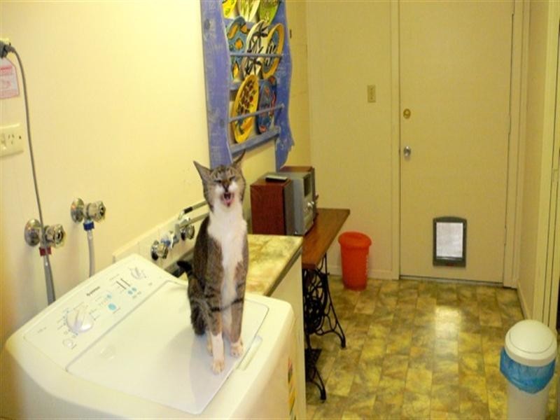 4 Carey Street, Exmouth WA 6707