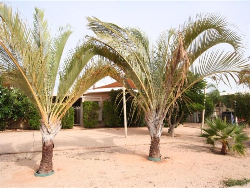 17 Learmonth Street, Exmouth WA 6707