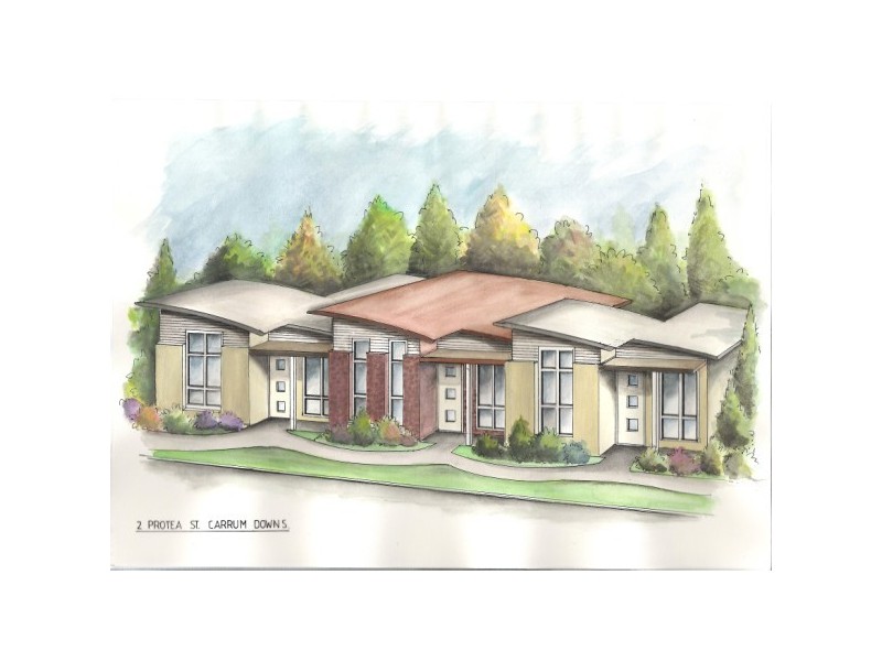 19a Cadles Road, Carrum Downs VIC 3201