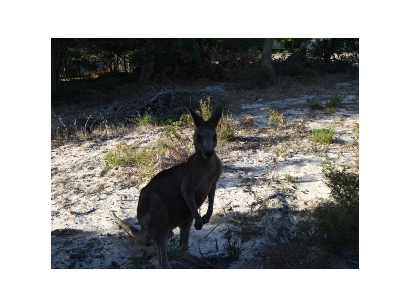 58 White Crescent, Loch Sport VIC 3851