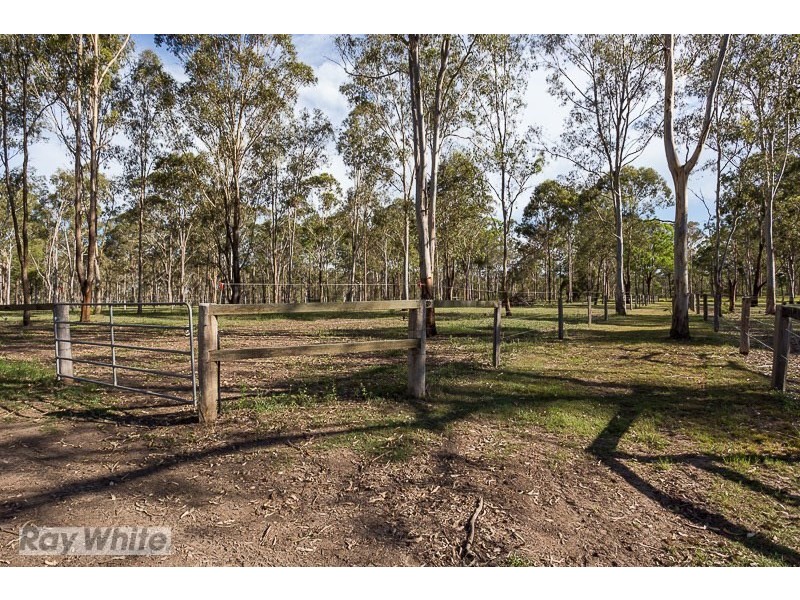 504 Waterford Tamborine Road, Buccan QLD 4207